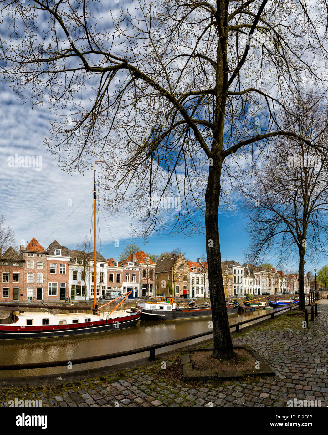 S-Hertogenbosch, Den Bosch, aux Pays-Bas, la Hollande, l'Europe, ville, village, l'eau, arbres, printemps, navires, bateaux, de Brede Haven, Banque D'Images