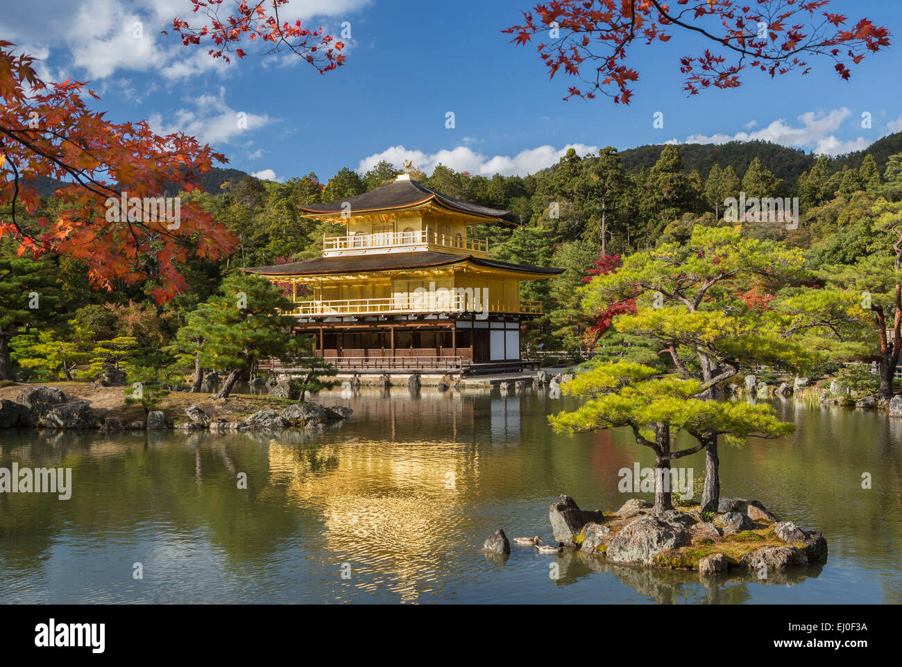 Patrimoine mondial, Japon, Asie, Kansai, Kinkaku-Ji, Kyoto, Temple, paysage, architecture, colorée, automne, célèbre, d'or, Golden, m Banque D'Images