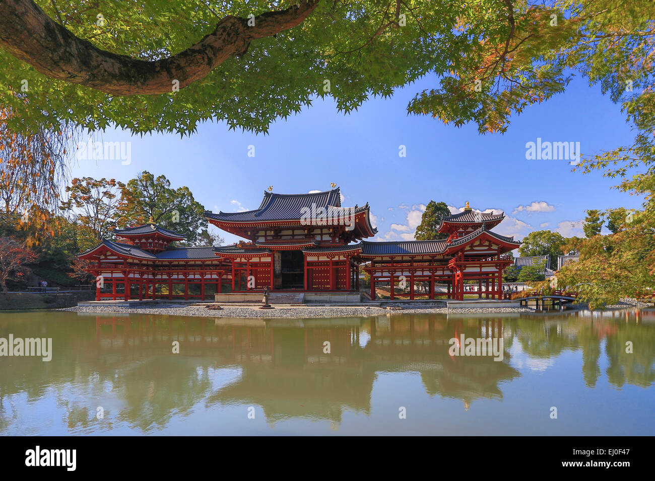 Patrimoine mondial, Byodo-in, le Japon, l'Asie, Kansai, Paysage, Temple, Uji, architecture, colorée, automne, momiji, aucun peuple, étang, re Banque D'Images