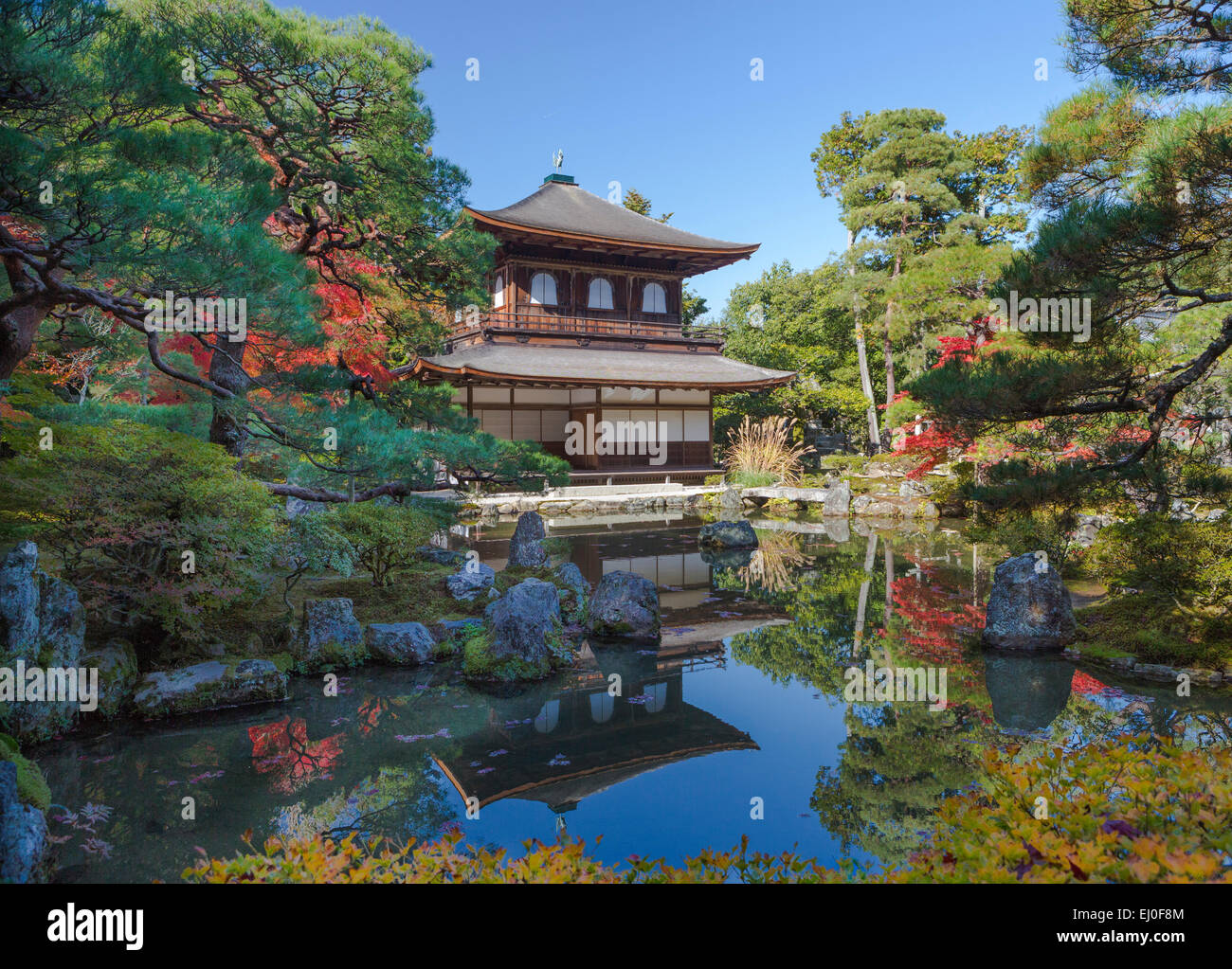 Patrimoine mondial, Ginkaku-ji, Japon, Asie, Kansai, Kyoto, Japon, paysage, architecture, Automne, couleurs, jardin, maison, momiji Banque D'Images