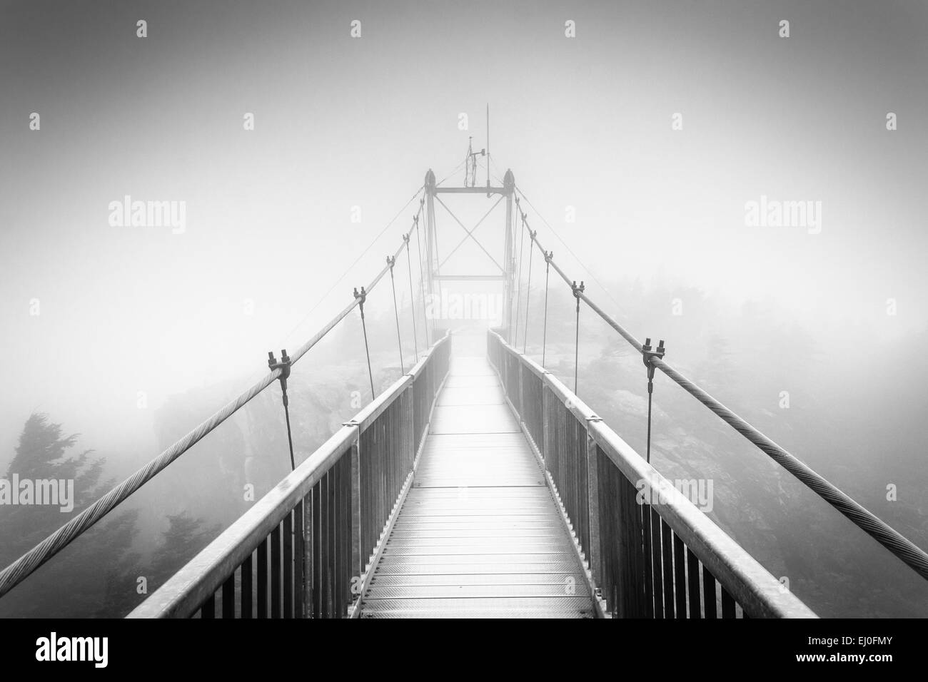 La Mile-High Swinging Bridge dans le brouillard, à la Grandfather Mountain, Caroline du Nord. Banque D'Images
