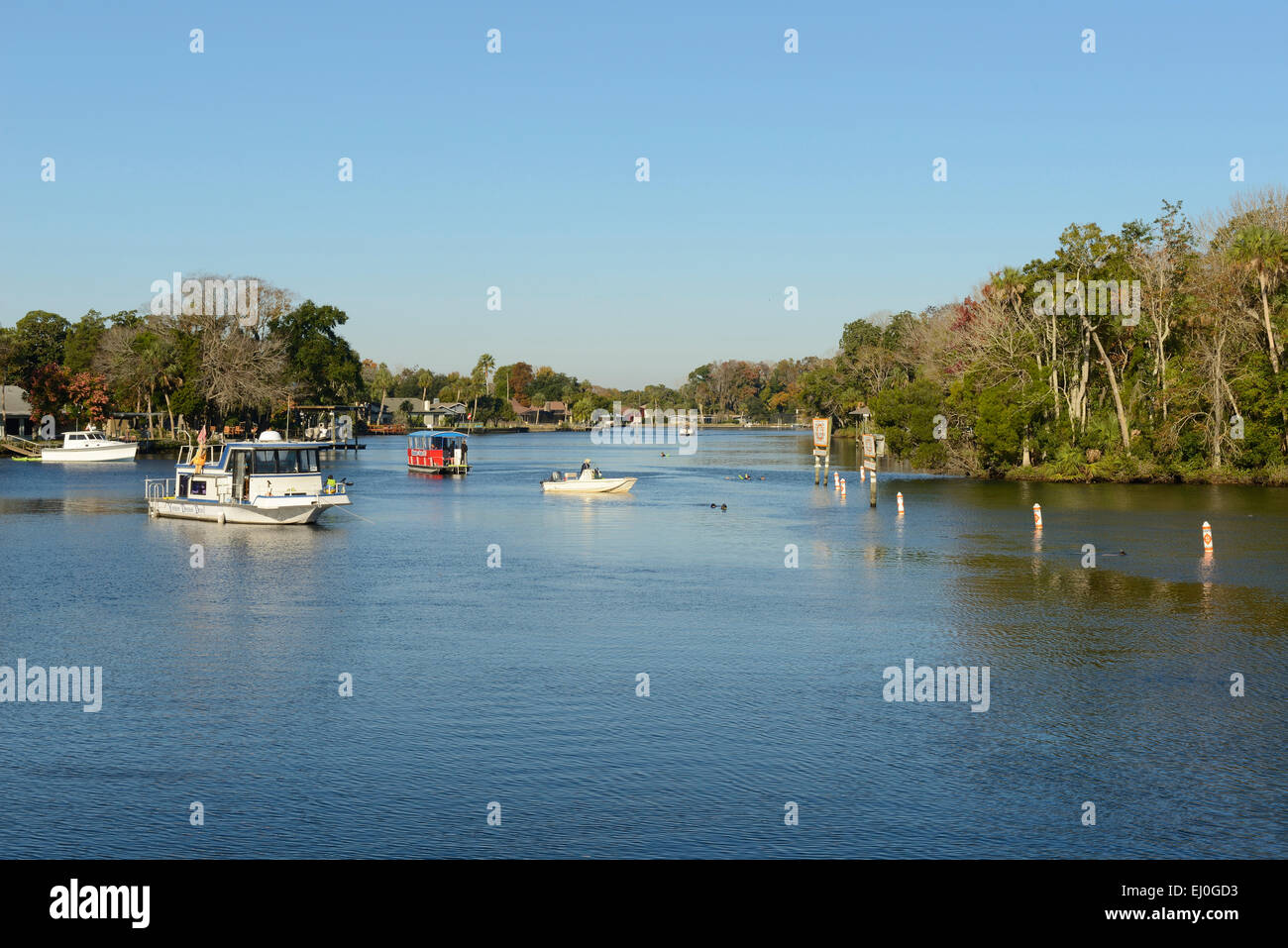 USA, Floride, Citrus Comté, Homosassa Springs, parc d'état de la faune, Banque D'Images USA, Floride, Citrus Comté, Homosassa Springs, parc d'état de la faune, Banque D'Images
