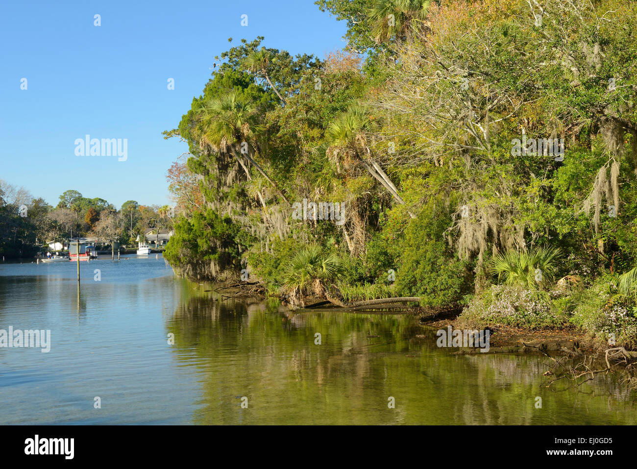 USA, Floride, Citrus Comté, Homosassa Springs, parc d'état de la faune, Banque D'Images USA, Floride, Citrus Comté, Homosassa Springs, parc d'état de la faune, Banque D'Images