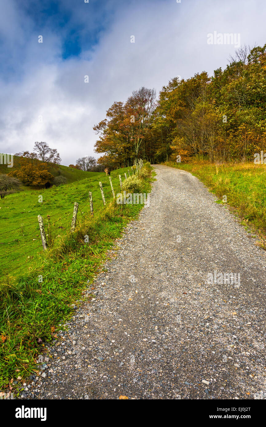 Trail et la couleur en automne au cône de Moïse, sur le Blue Ridge Parkway en Caroline du Nord. Banque D'Images