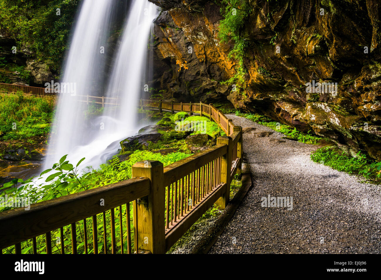 Sentier derrière tombe à sec, dans la forêt nationale de Nantahala, Caroline du Nord. Banque D'Images