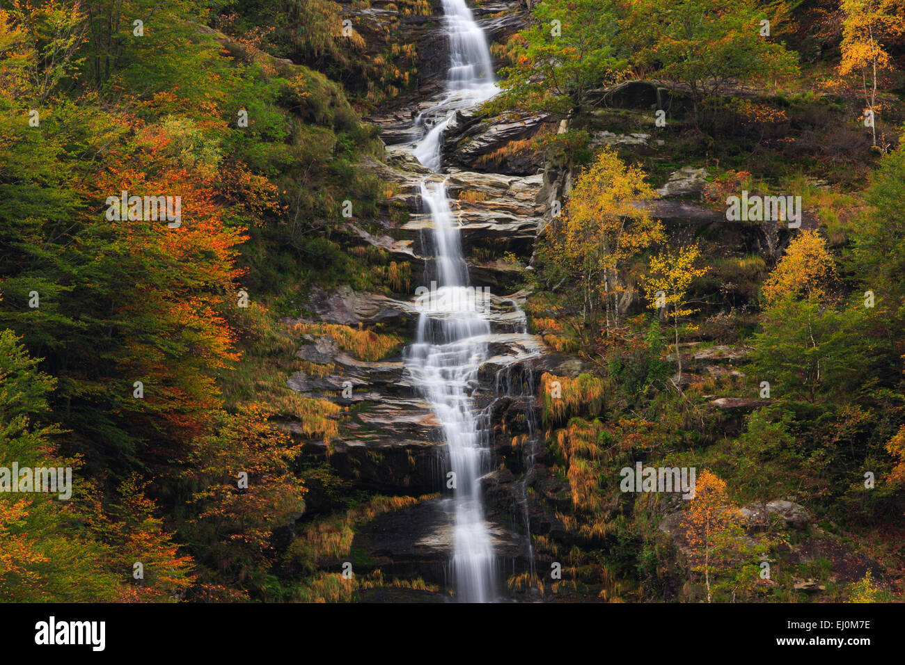 Cours d'eau, ruisseau, arbre, mouvement, hêtre, forêt de hêtres, arbres, falaise, falaise, mur, Automne, couleurs, automne, feuillage, cascade, ca Banque D'Images