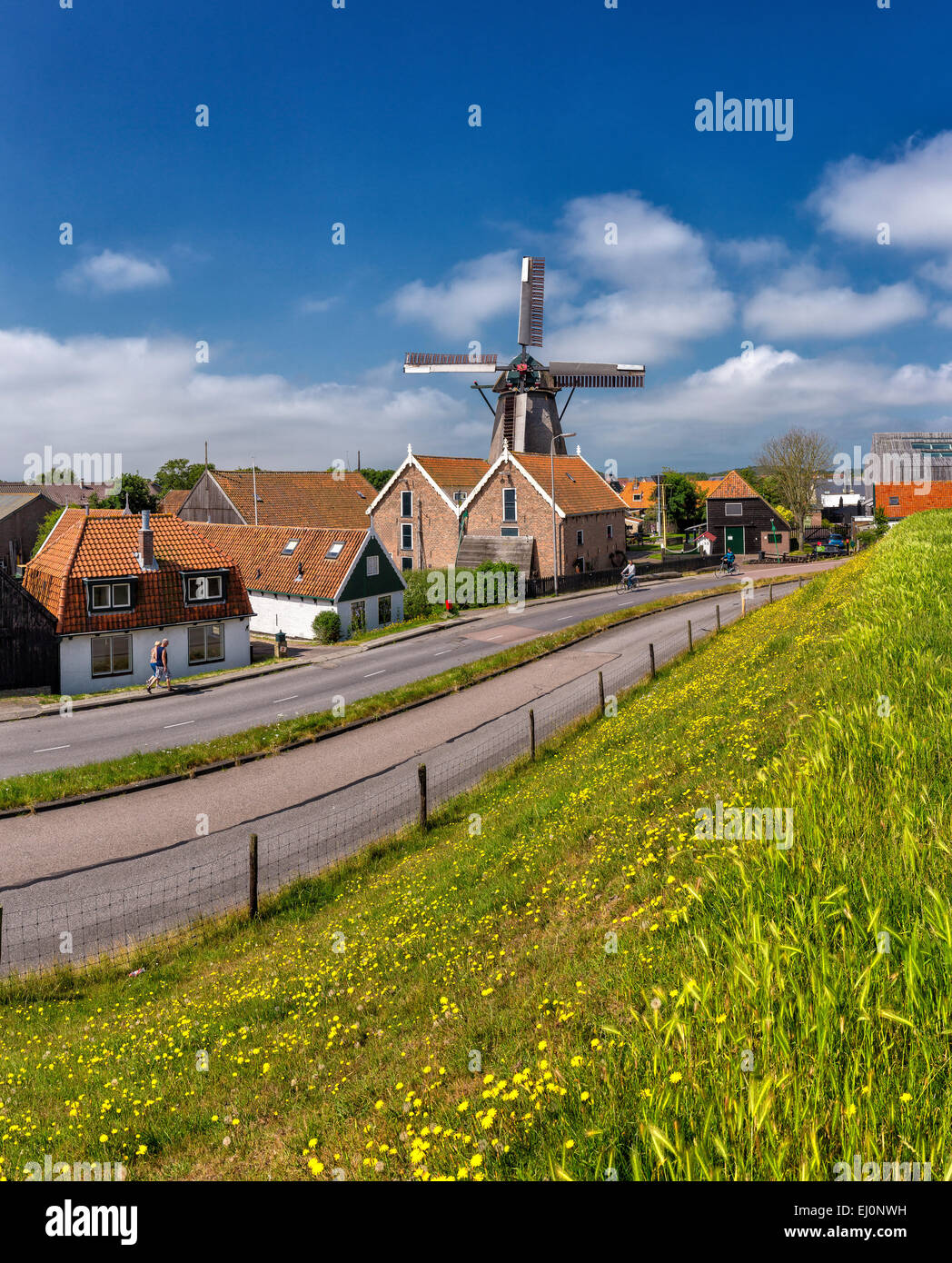 Pays-bas, la Hollande, l'Europe, Oudeschild, Texel, Noord-Holland, moulin, village, champ, prairie, fleurs, été, de Traanroeier Banque D'Images
