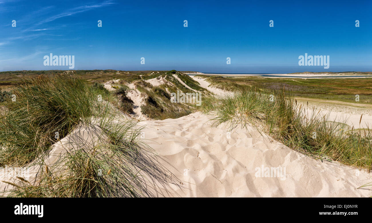 Pays-bas, la Hollande, l'Europe, De Cocksdorp, phare, Texel, Noord-Holland, paysage, champ, prairie, l'été, la plage, la mer, les dunes Banque D'Images