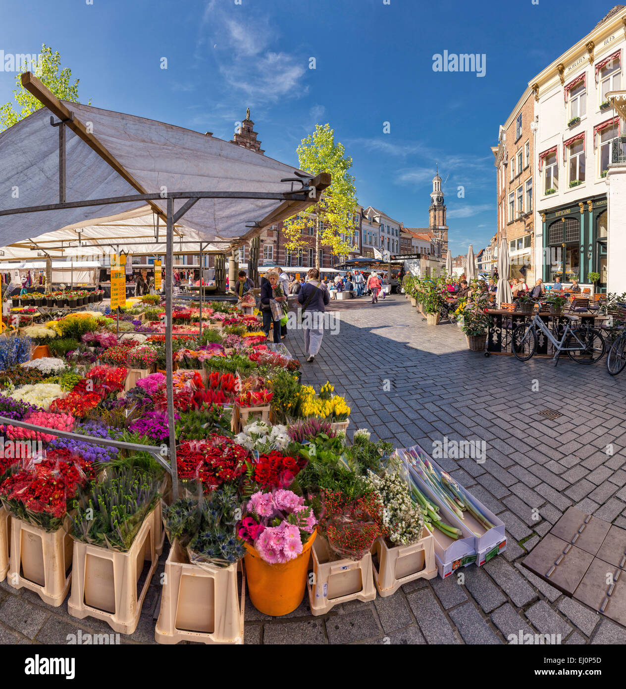 Pays-bas, la Hollande, l'Europe, Zutphen, Gueldre, village, fleurs, été, fleur, stand, marché des semences Banque D'Images