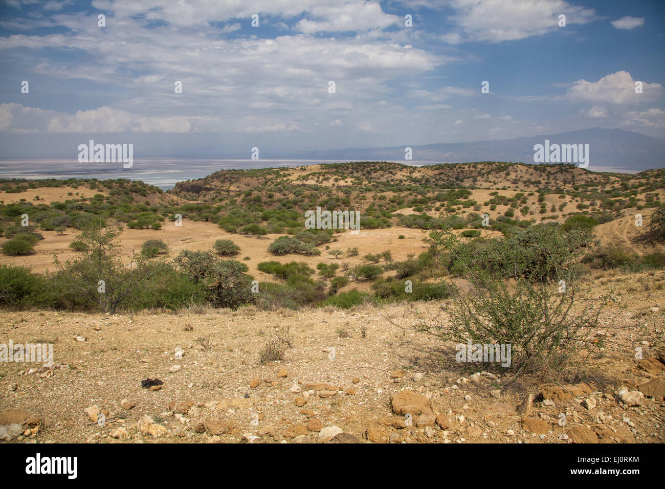 L'Afrique, le lac Natron, paysage, paysage, voyage, Rift Valley, le lac, la Tanzanie, l'Afrique de l'Est, de l'eau, du désert Banque D'Images