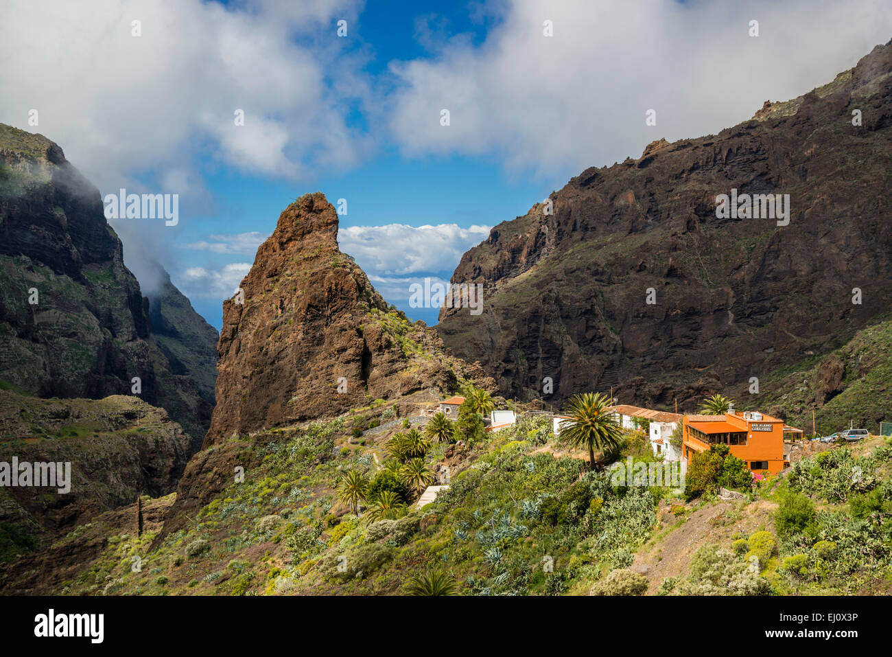 La formation de la falaise, le Volcano rock, Masca, de ravin, Barranco de Masca, montagne Teno, Tenerife, Canaries, Espagne, Europe Banque D'Images