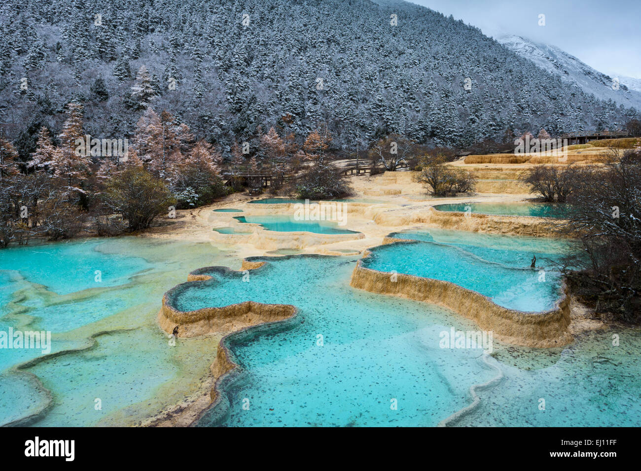 Le parc national de Huanglong, Asie, Chine, province du Sichuan,,, l'UNESCO, patrimoine mondial de la nature, sinter terrasses, terrasses en travertin, na Banque D'Images