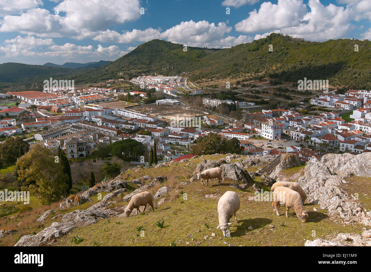 Vue panoramique et des moutons, Aracena, Huelva province, région d'Andalousie, Espagne, Europe Banque D'Images