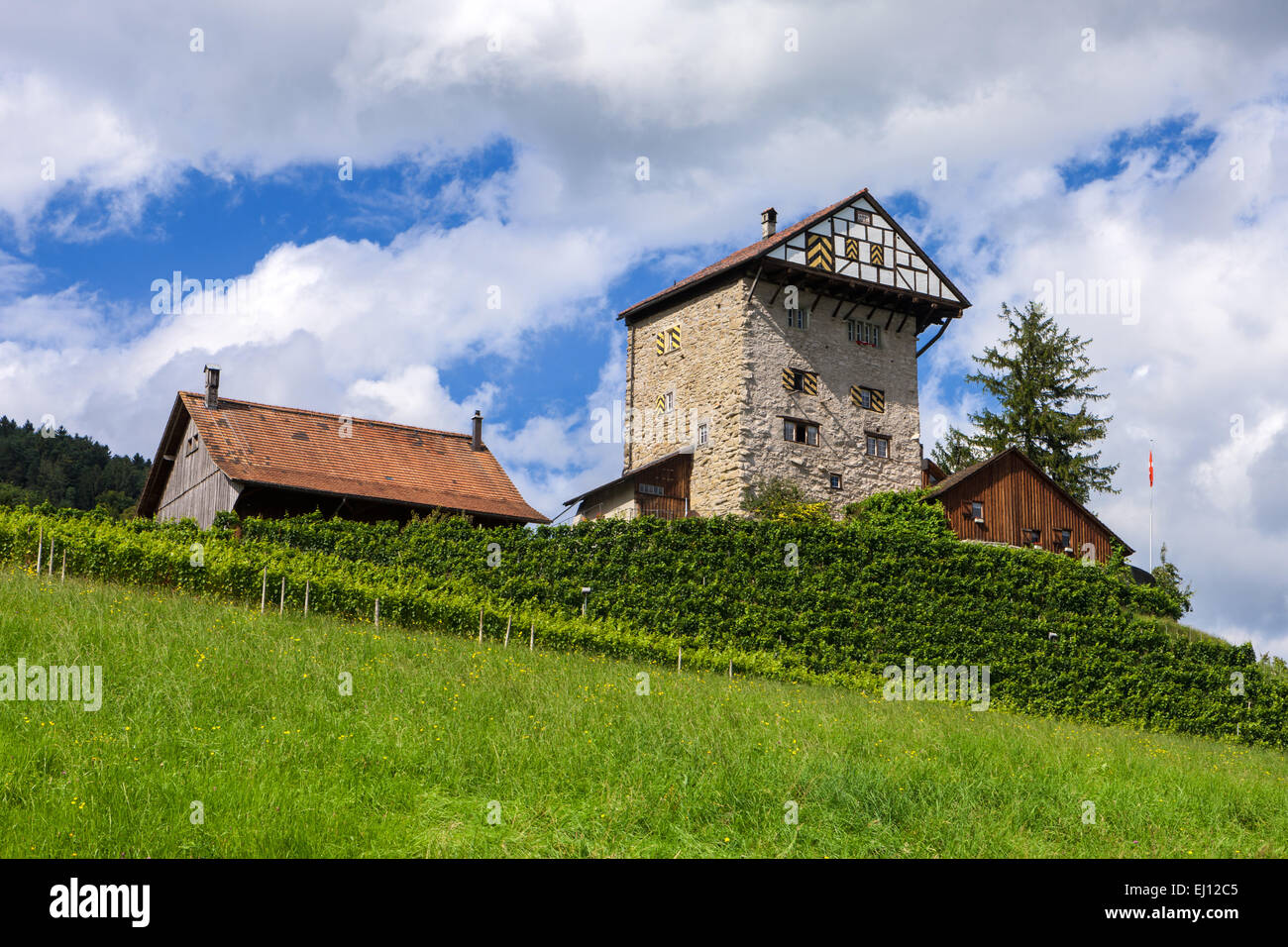 Castle, new vieux sites, en Suisse, en Europe, dans le canton de Saint-Gall, vallée du Rhin Banque D'Images