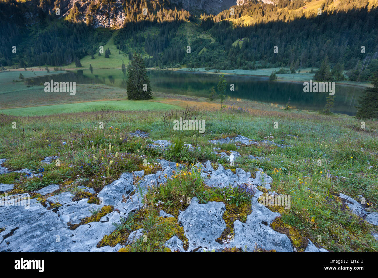 Lauenensee, Suisse, Europe, le canton de Berne, Oberland Bernois, Simmental, lac de montagne, lac, lumière du matin, rock, falaise, débit Banque D'Images