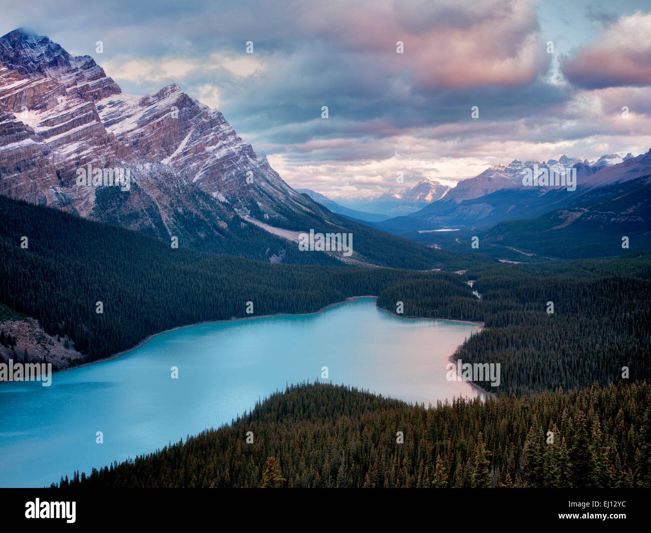 Le lac Peyto au lever du soleil. Le parc national Banff, Alberta Canada. Banque D'Images