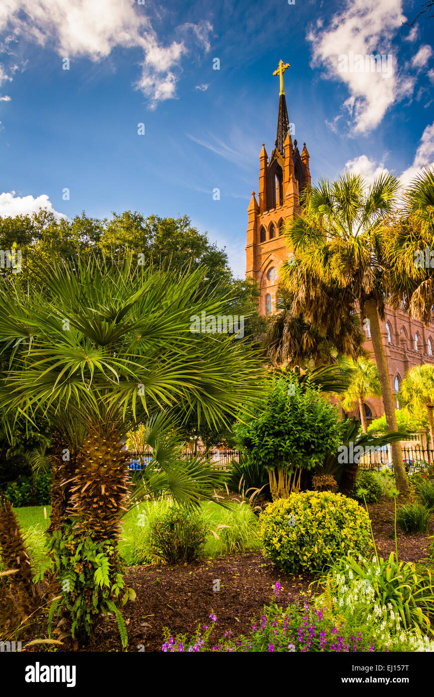 Palmiers et Cathédrale de Saint Jean Baptiste à Charleston, Caroline du Sud. Banque D'Images