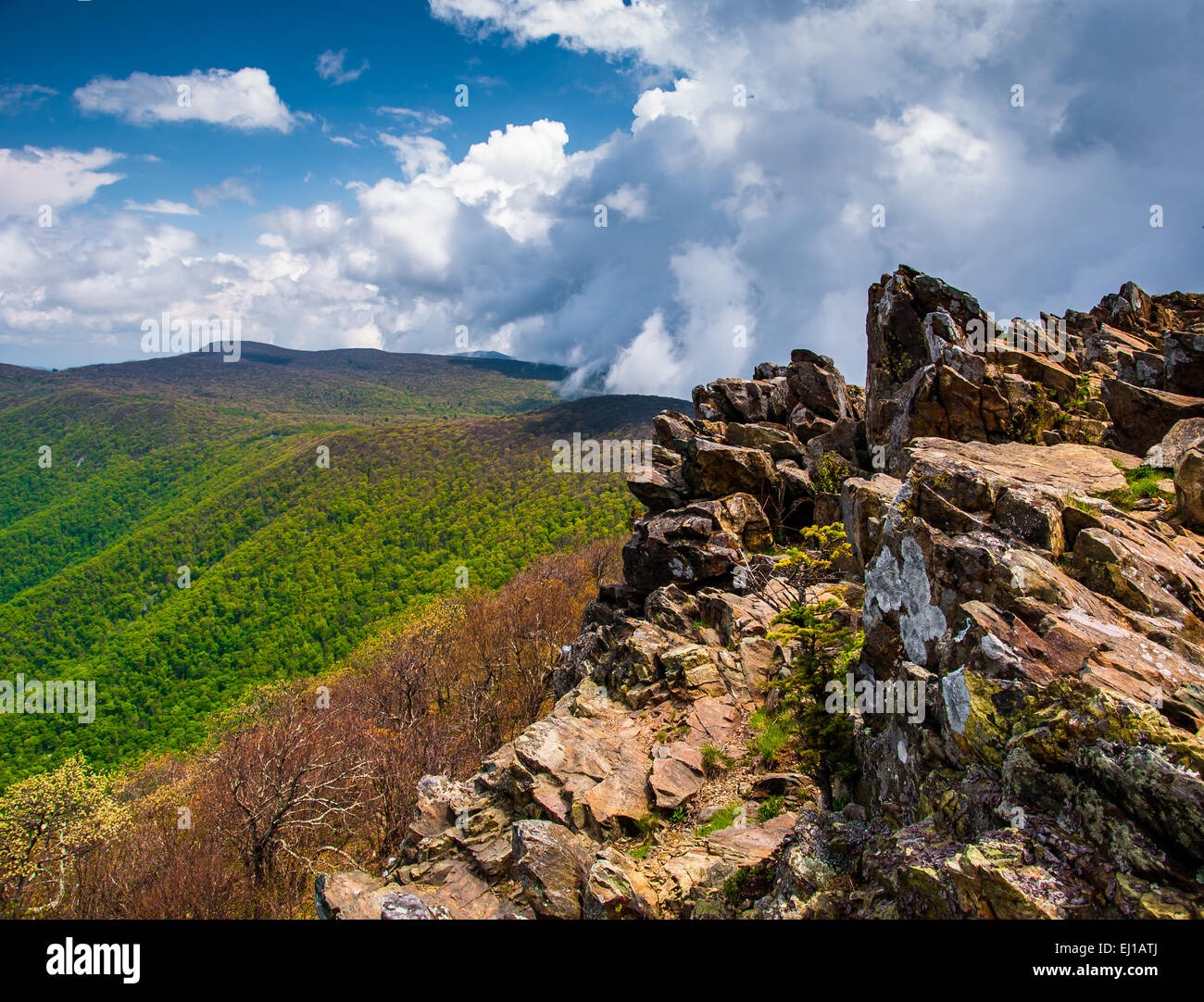 Début du printemps vue depuis le sommet des falaises sur la tortue imbriquée, le Parc National Shenandoah, en Virginie. Banque D'Images