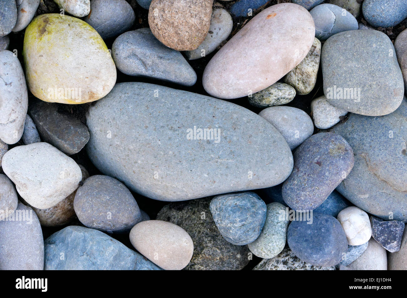 Fond pierres arrondies multicolores Banque D'Images