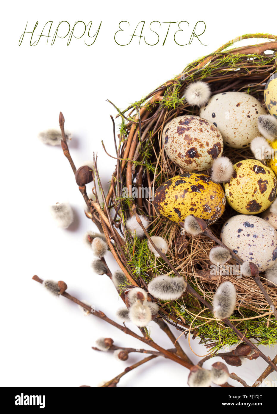 Oeufs de Pâques dans le nid sur un fond blanc Banque D'Images