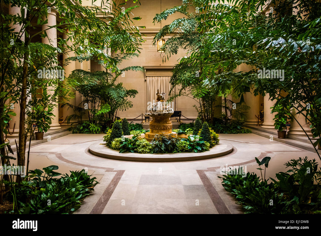 Jardin d'intérieur salon de la National Gallery of Art de Washington, DC. Banque D'Images