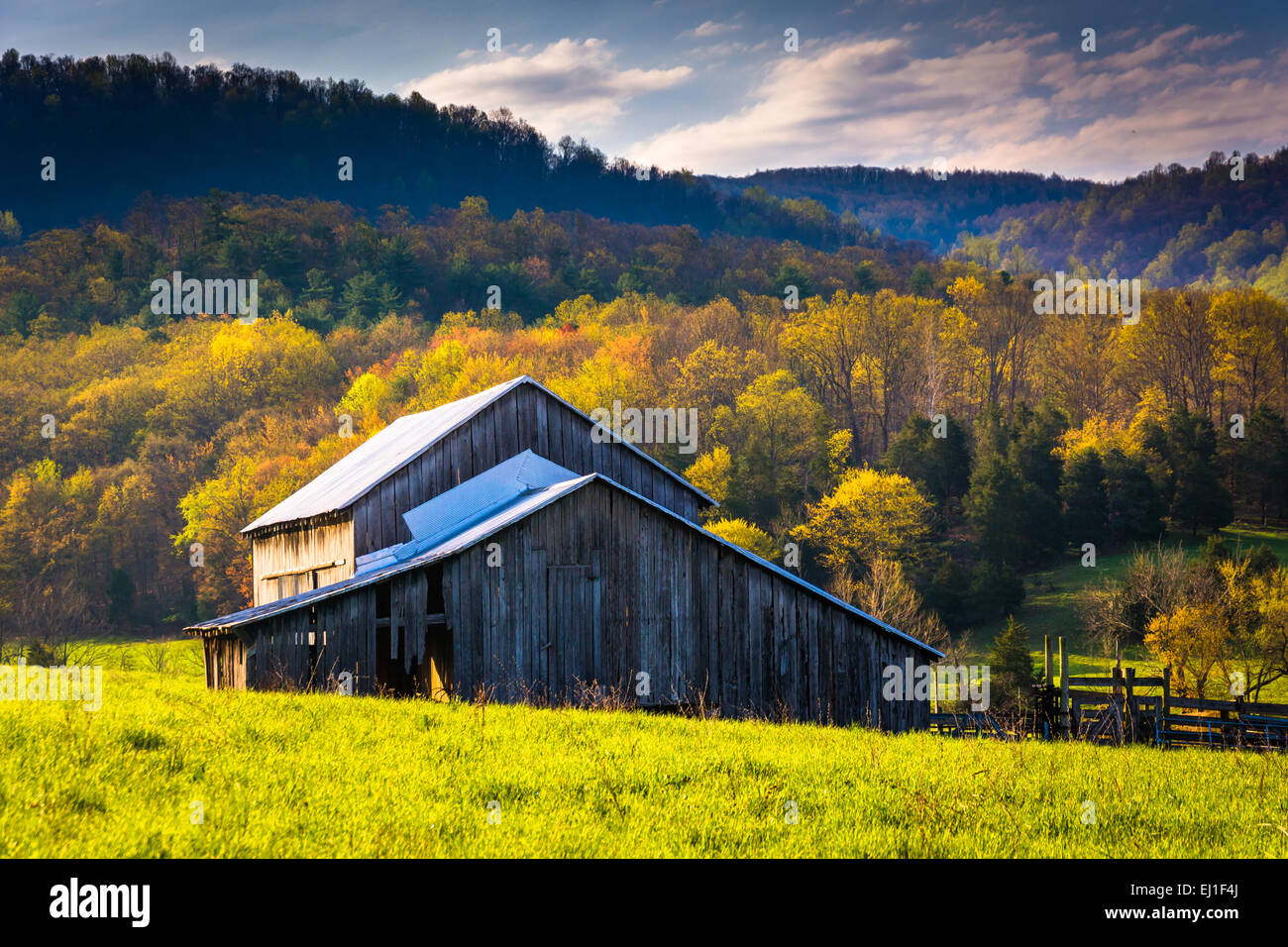 Ancienne grange et couleurs du printemps dans la vallée de Shenandoah, en Virginie. Banque D'Images