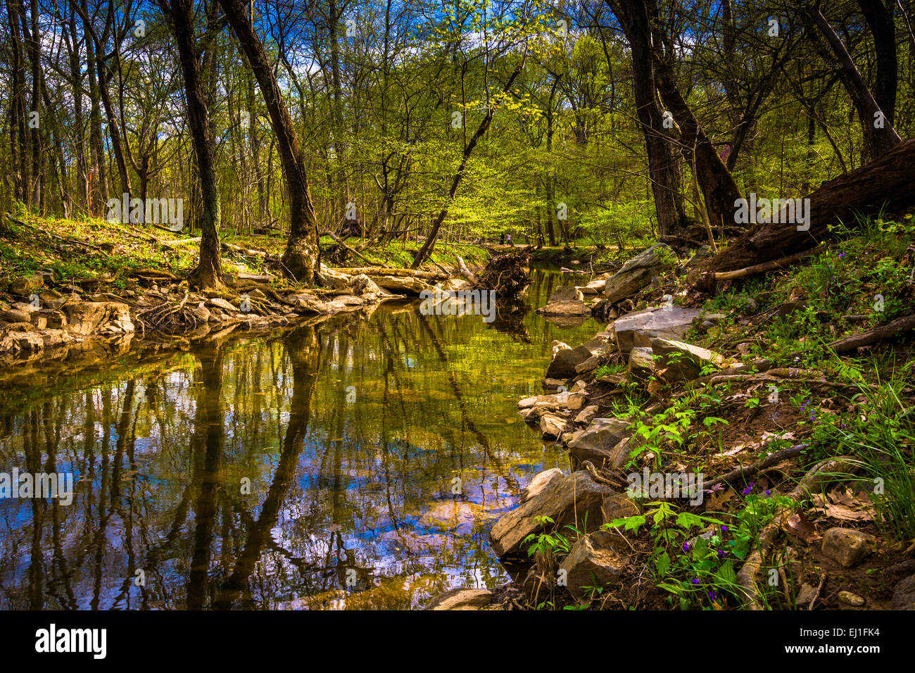 Reflets dans le canal Patowmack à Great Falls Park, en Virginie. Banque D'Images