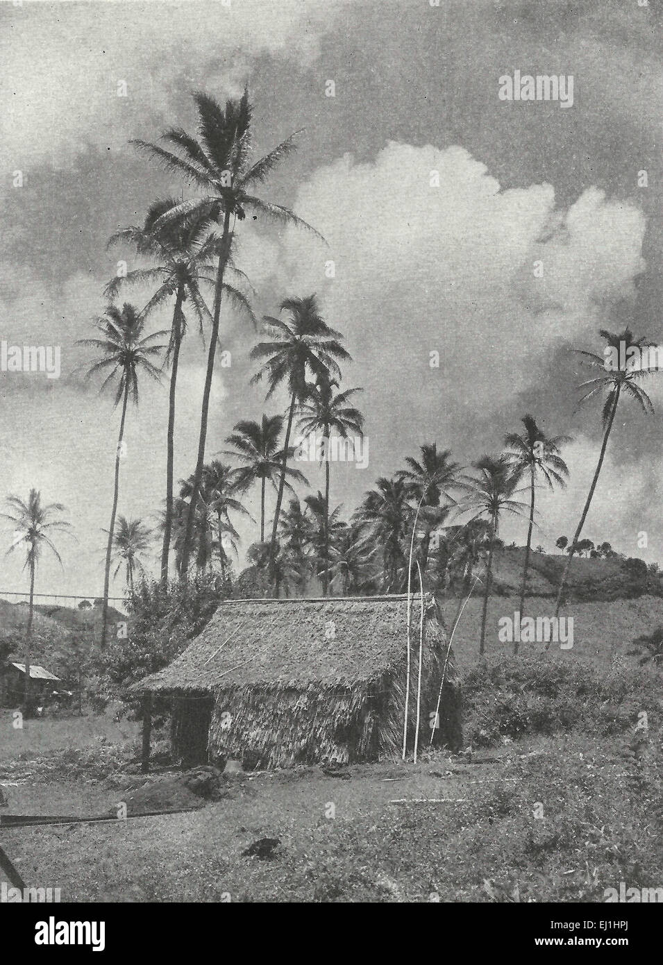 Une hutte hawaïenne, 1916 Banque D'Images