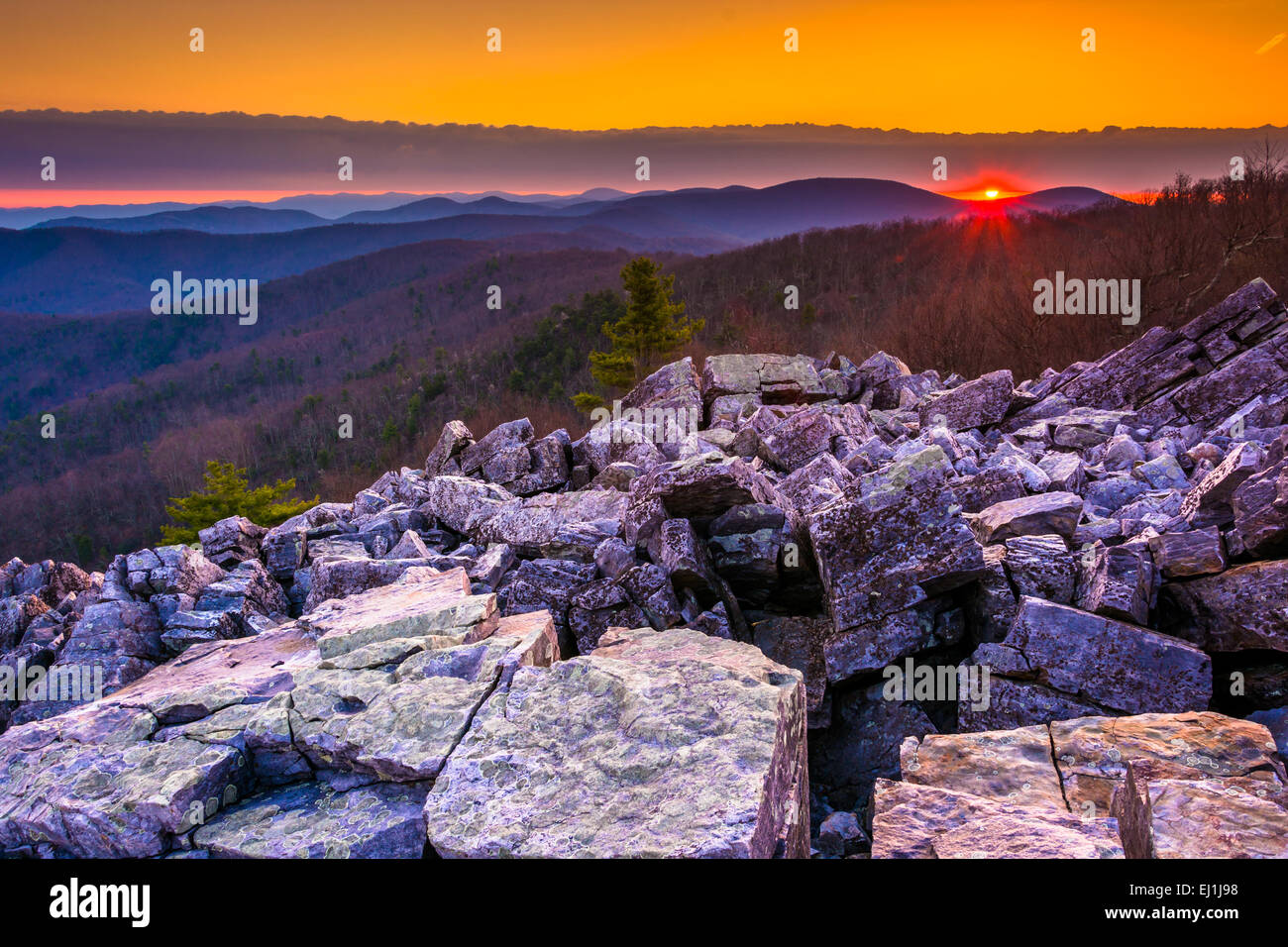 Lever du soleil sur les montagnes Blue Ridge de sommet de Blackrock, le Parc National Shenandoah, en Virginie. Banque D'Images