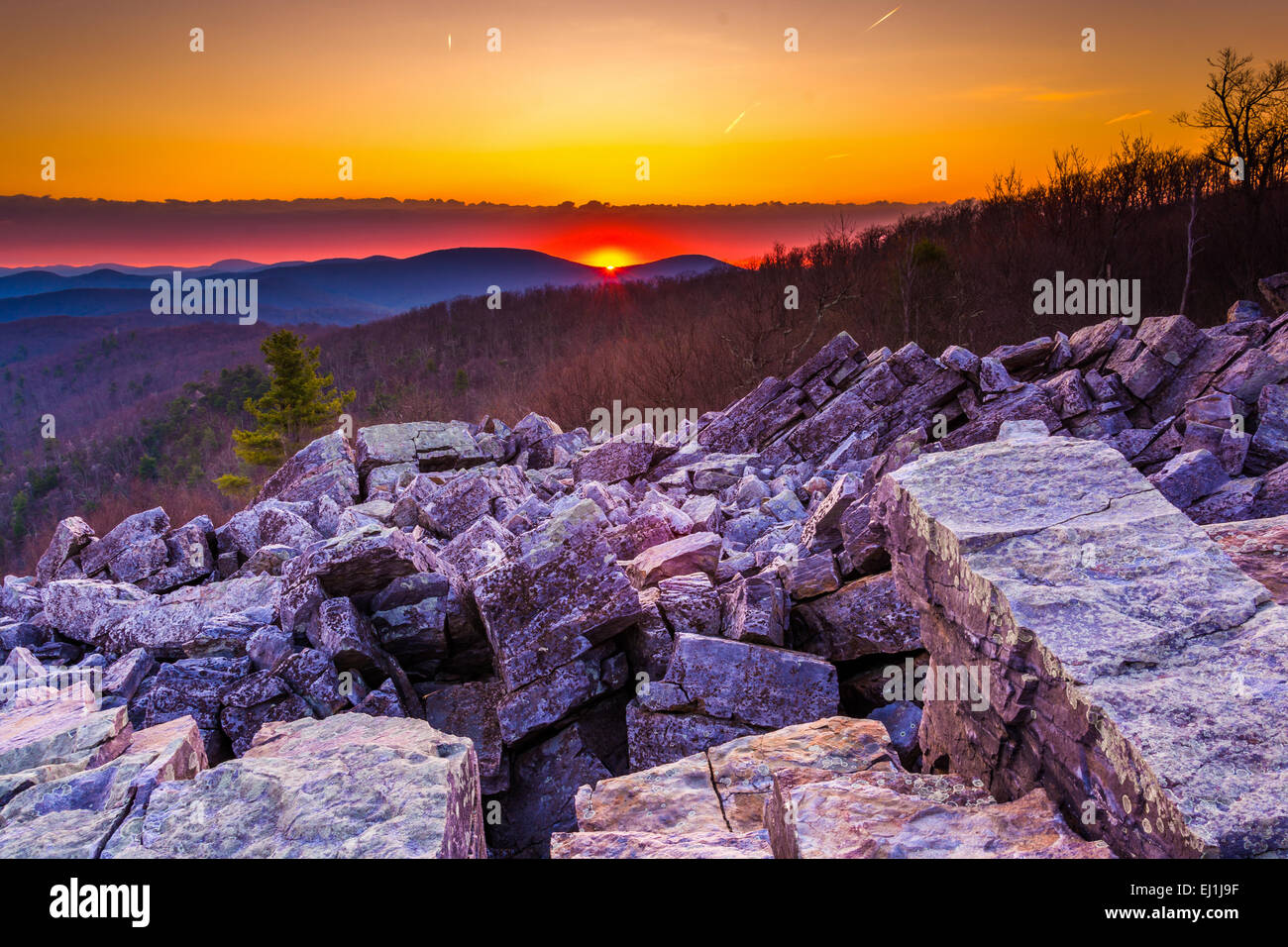 Lever du soleil sur les montagnes Blue Ridge de sommet de Blackrock, le Parc National Shenandoah, en Virginie. Banque D'Images