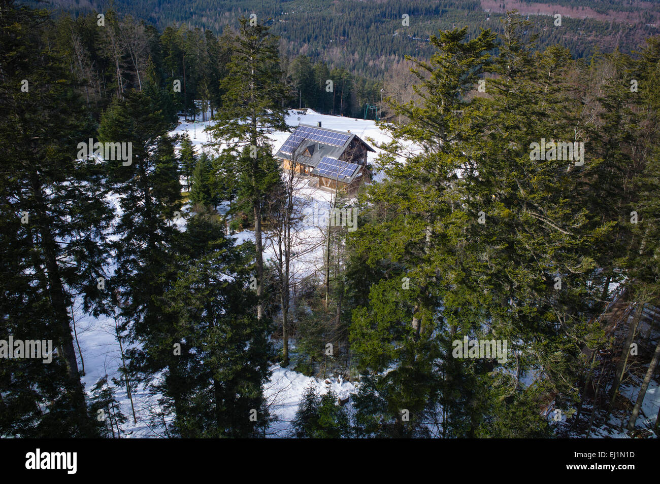 Vue de la Cabane de ski du sentier Baumwipfelpfad treetop Bad Wildbad Bade-wurtemberg Allemagne Forêt-Noire du Nord Banque D'Images