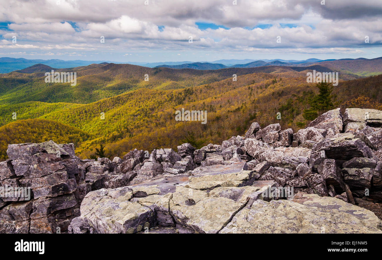 Vue depuis le sommet recouvert de Boulder de Blackrock dans Shenandoah National Park, en Virginie. Banque D'Images