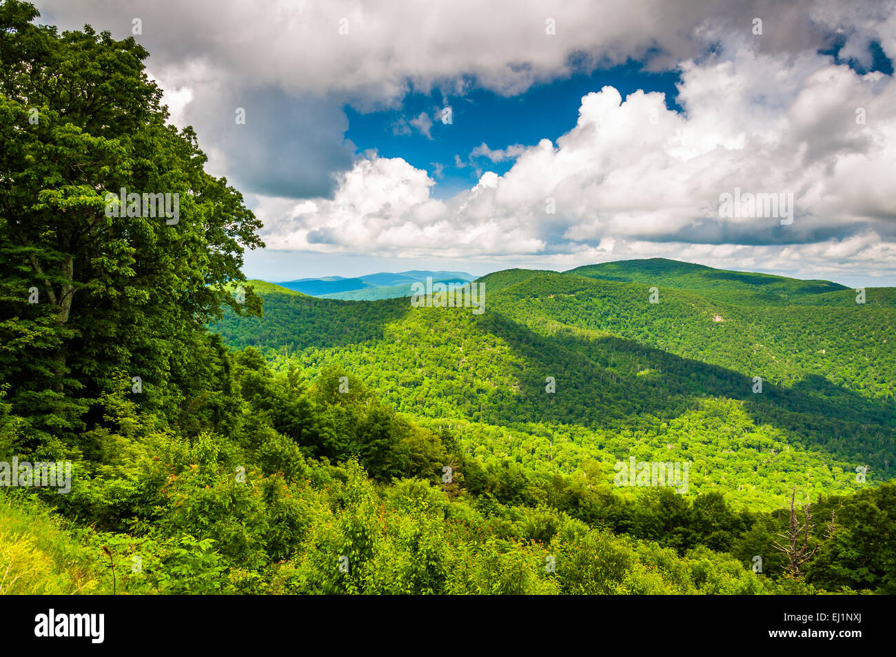 Vue sur les Appalaches de Skyline Drive dans le Parc National Shenandoah, en Virginie. Banque D'Images