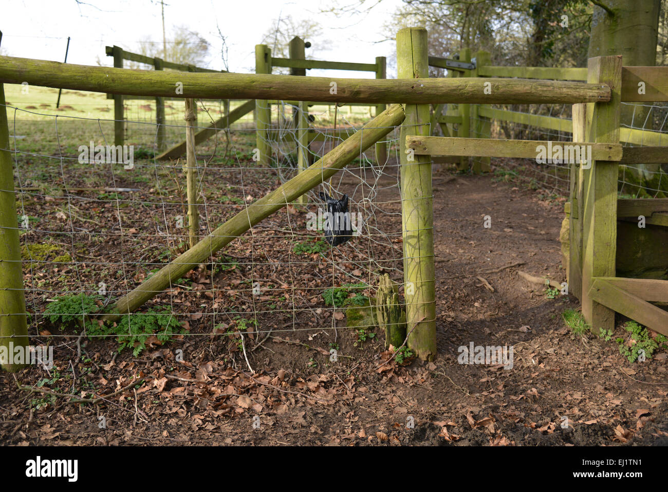 Sac noir d'excréments de chien accroché à une clôture en bordure d'un sentier à Hook Norton, Oxfordshire Banque D'Images