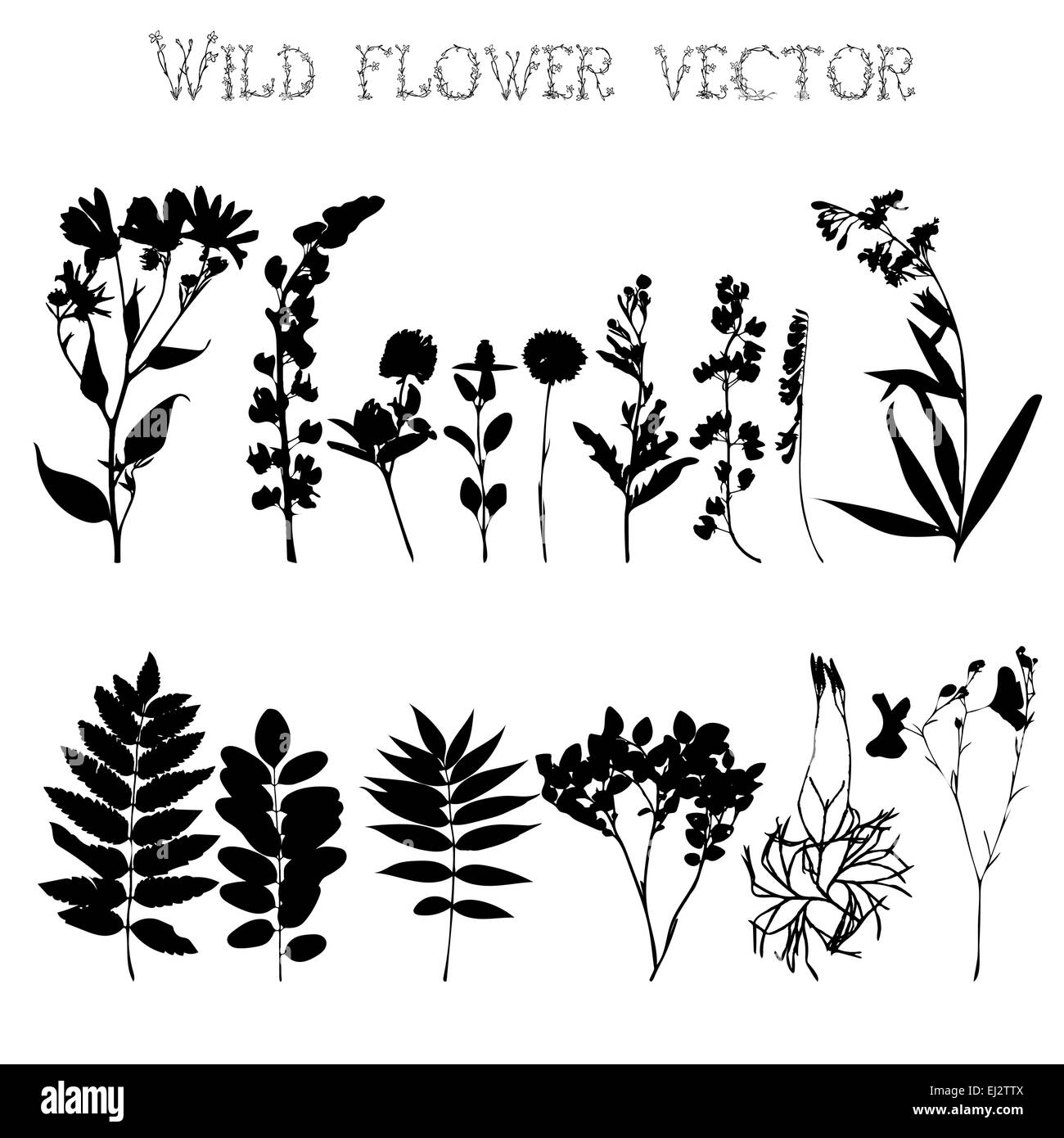 Silhouettes de fleurs sauvages et le Illustration de Vecteur