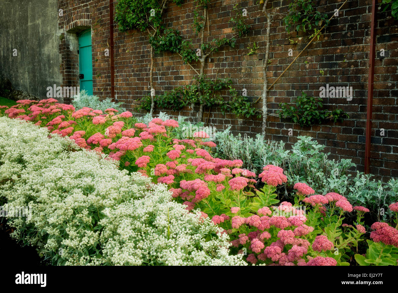 Jardin et mur avec porte dans jardin clos à l'abbaye de Kylemore. L'Irlande Banque D'Images