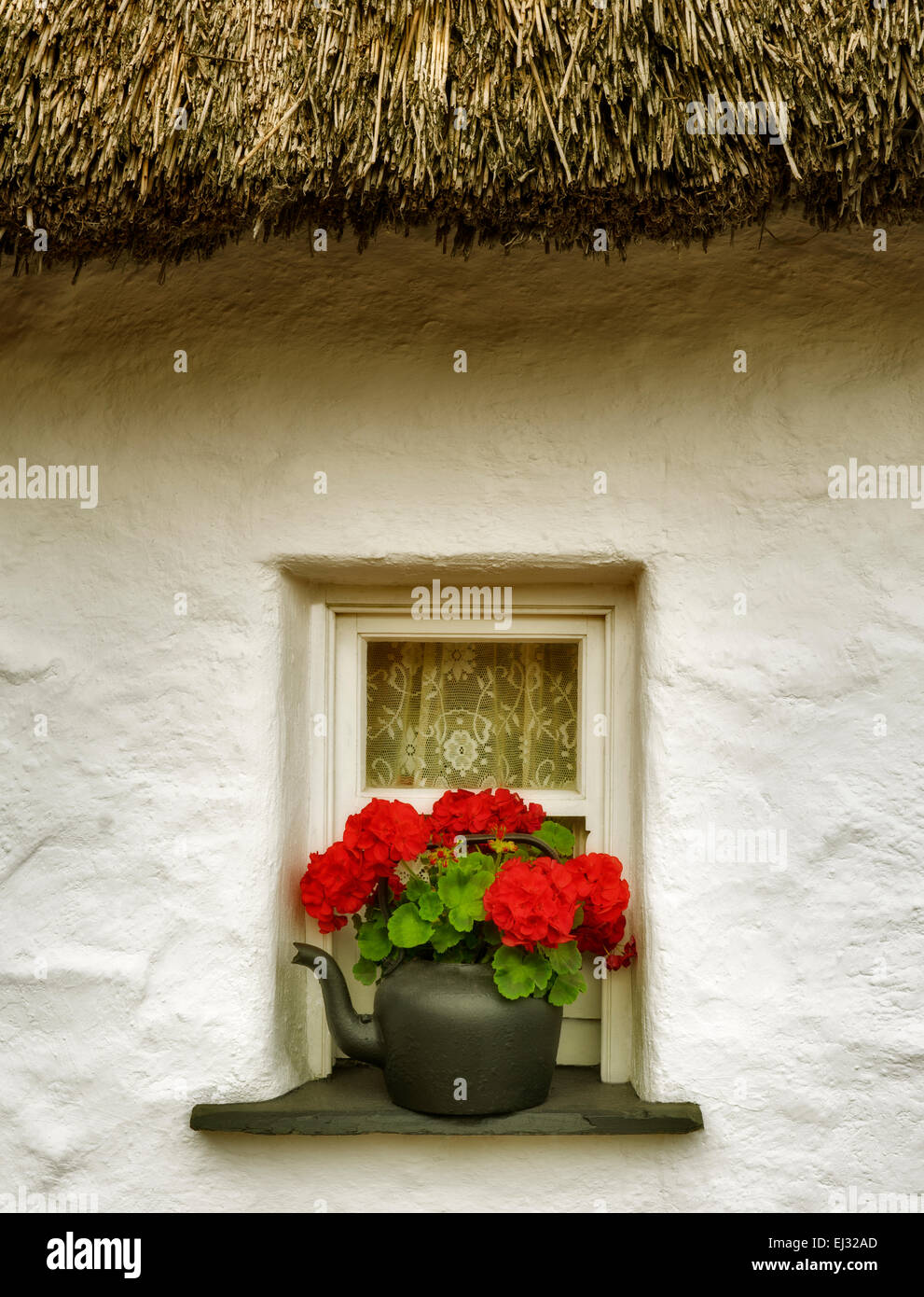 Begonia fleur en pot et fenêtre et toit de chaume. Le château de Bunratty, Irlande Banque D'Images