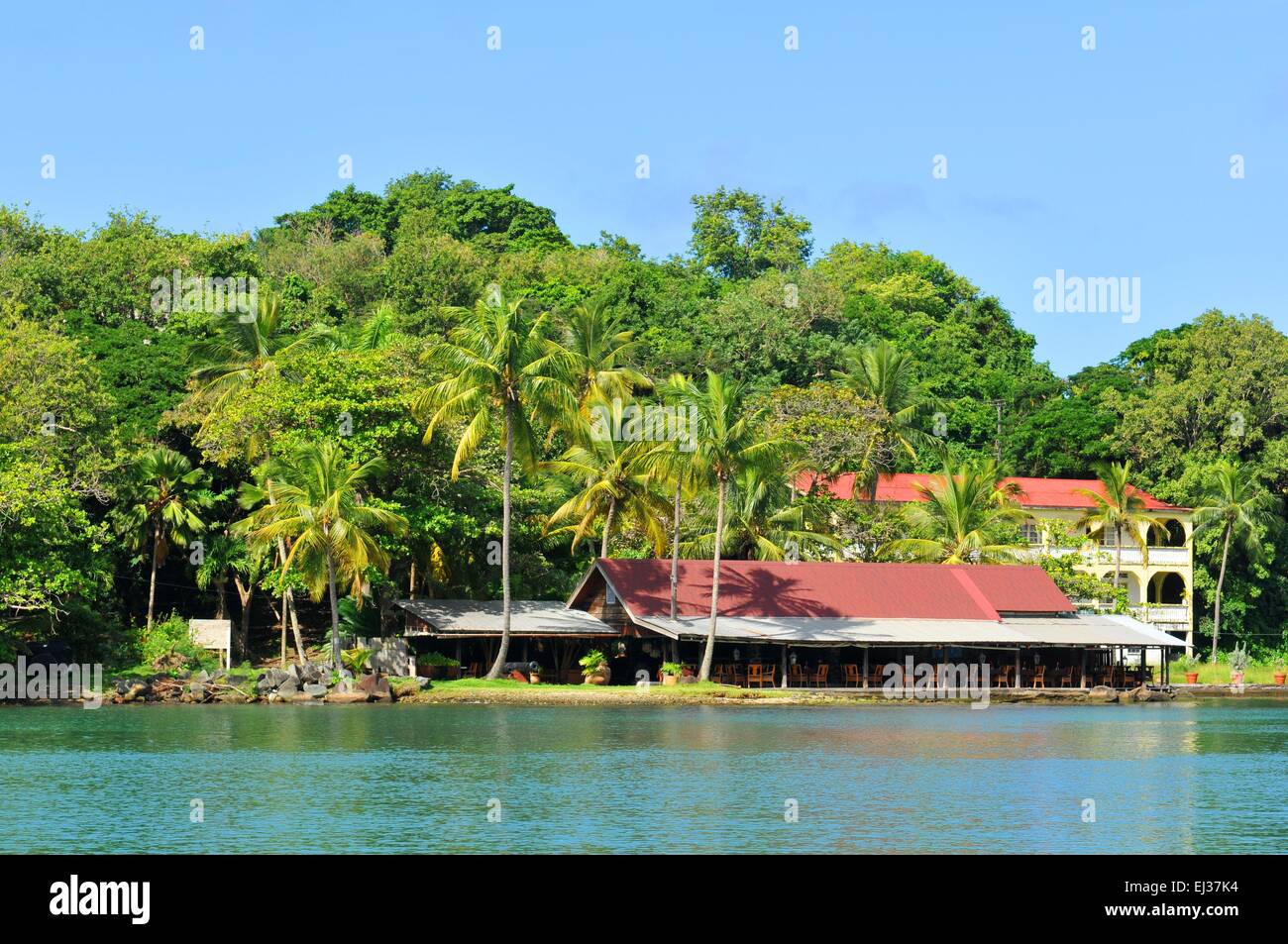 Tropical Resort à Saint Martin, Caraïbes Banque D'Images