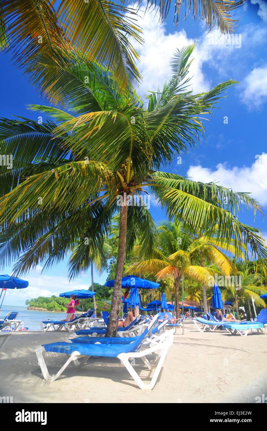 Tropical Resort à Saint Martin, Caraïbes Banque D'Images