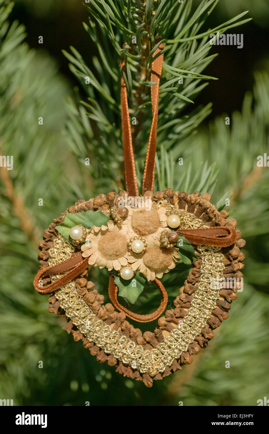 Ornement de Noël faites de graines et d'épices naturelles collée sur un socle en bois Banque D'Images