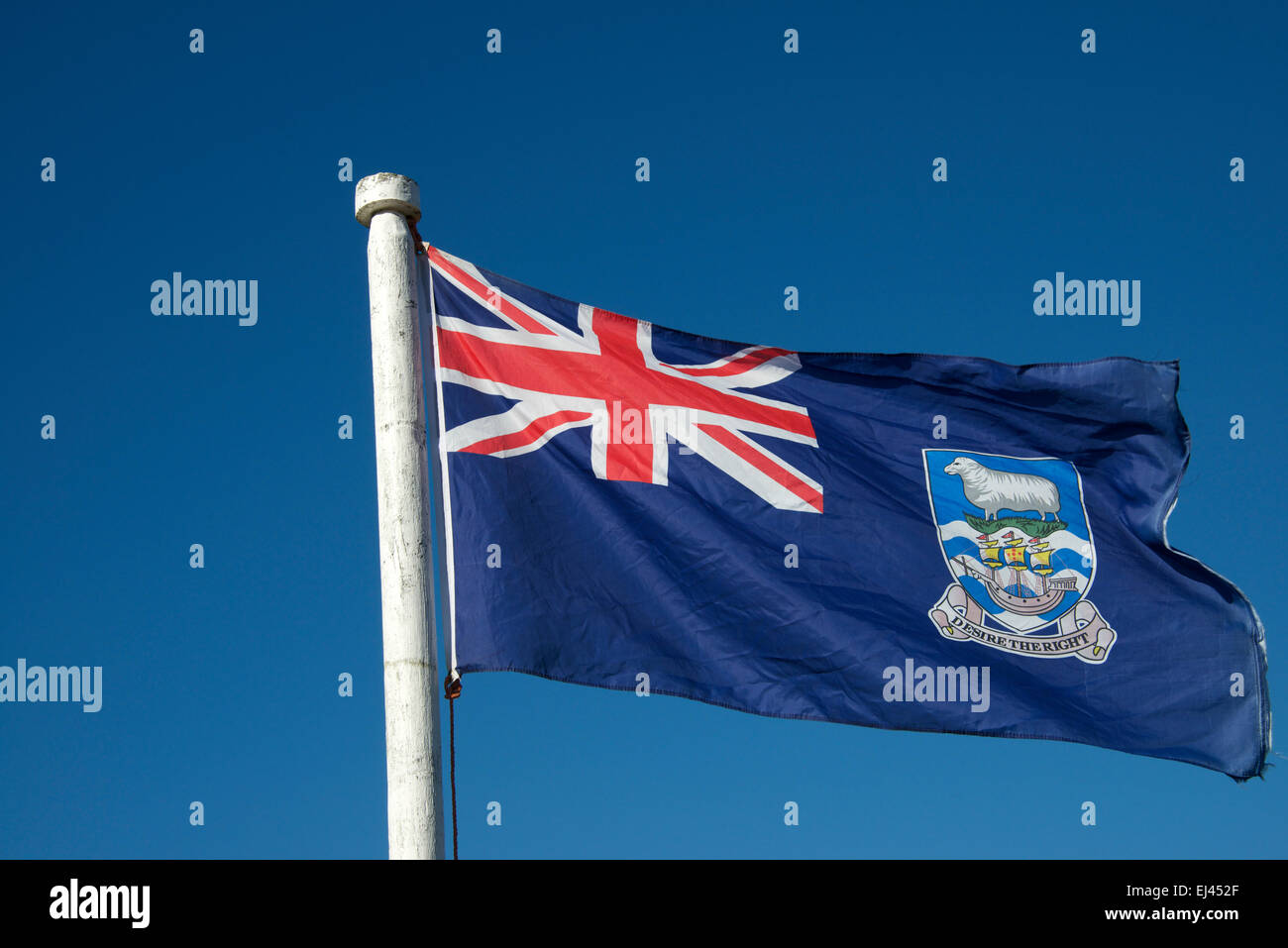 Le drapeau des îles Malouines Banque D'Images