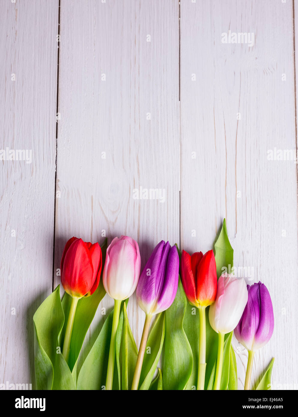 Les tulipes sur table en bois Banque D'Images