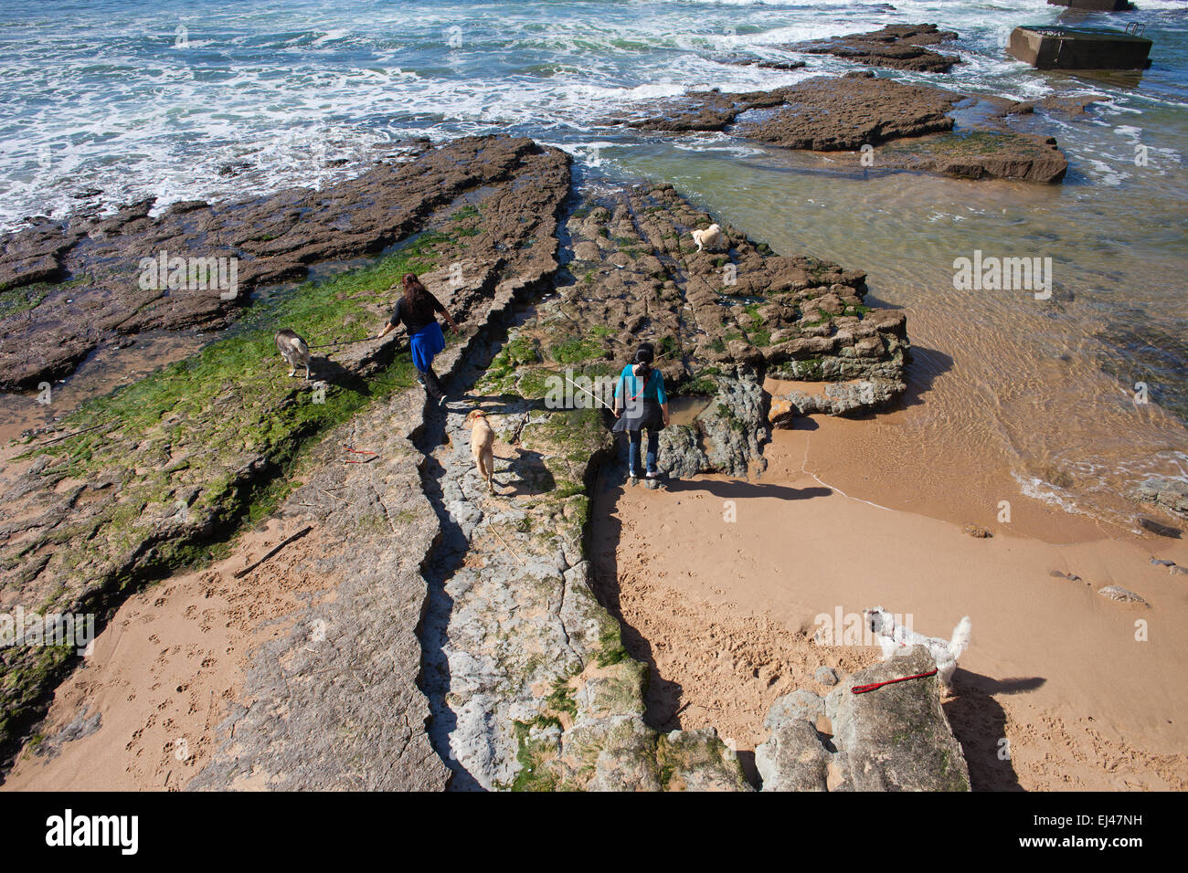 Les femmes parcourent de leurs chiens sur une rive de l'océan à Estoril, Portugal. Banque D'Images