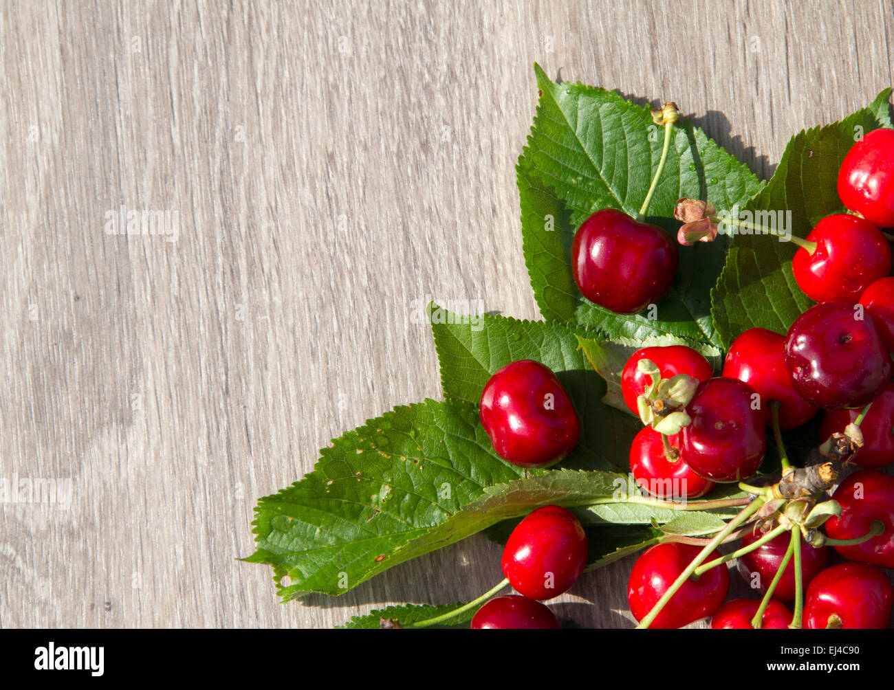 Produits frais bio cerise rouge en fond brun Banque D'Images