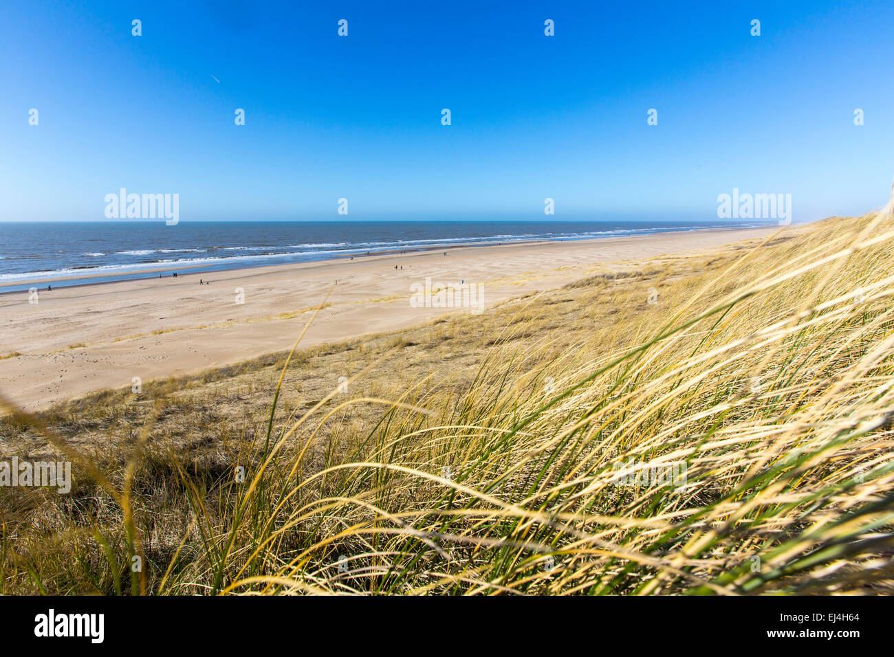 Egmond aan Zee, Hollande du Nord, Pays-Bas, Mer du Nord, les plages de sable, Banque D'Images