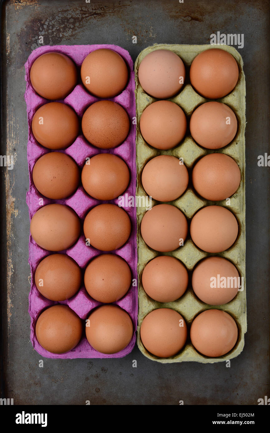 High angle shot de deux d'une douzaine de cartons de œufs brun biologique sur une surface de cuisson.. Format vertical. Banque D'Images