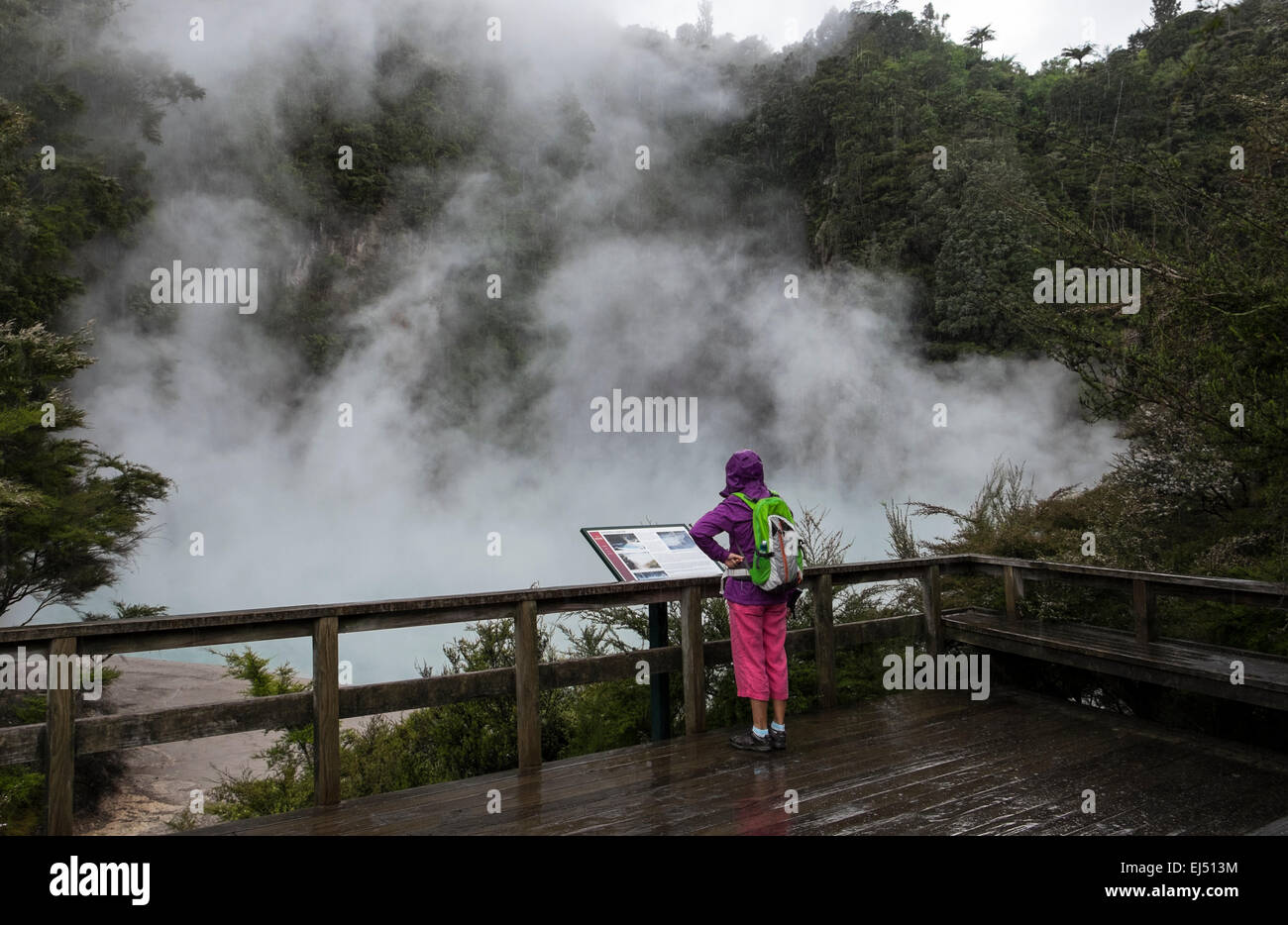 Zone géothermique de Waimangu en Nouvelle-Zélande. Banque D'Images