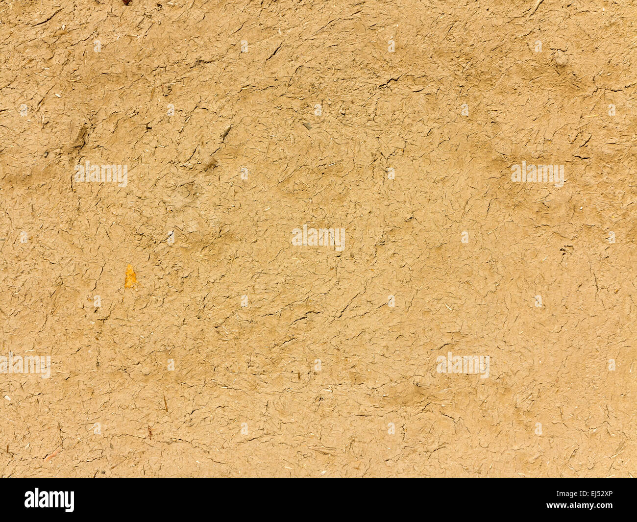 Detail close up d'un espace de mur de boue rendue, l'Egypte Afrique Banque D'Images