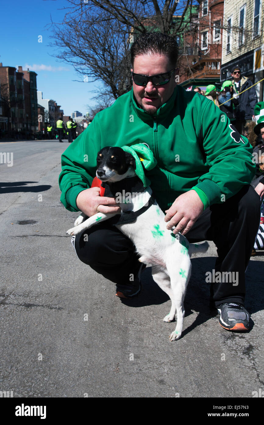 Chien habillé en vert, Saint Patrick's Day Parade, 2014, South Boston, Massachusetts, USA Banque D'Images