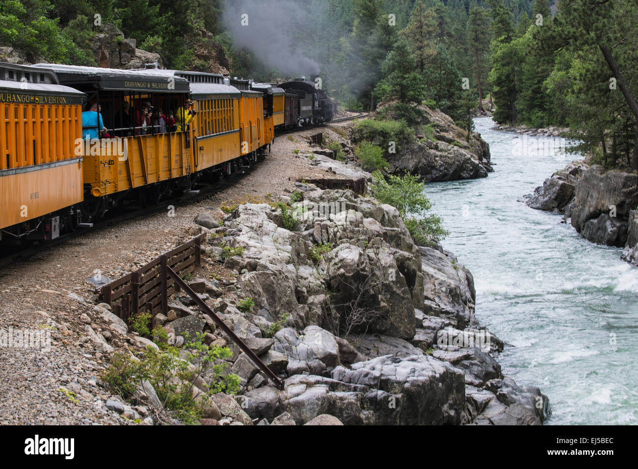 Durango and Silverton Narrow Gauge Railroad Steam Engine se déplace le long de la rivière Animas, Colorado, USA Banque D'Images